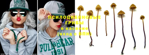 гашик Верхнеуральск