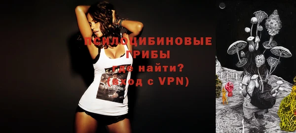 гашик Верхнеуральск