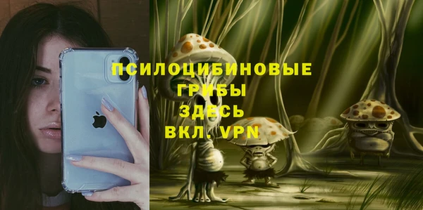 мдпв Волосово